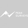 Peak Surveys