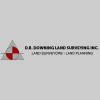 David R Downing & Associates