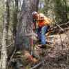 Smoky Mountain Land Surveying