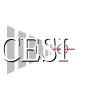 Concord Engineering & Surveying