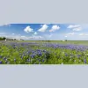 Chaparral Professional Land Surveying