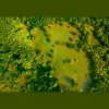 Freeman Land Surveying